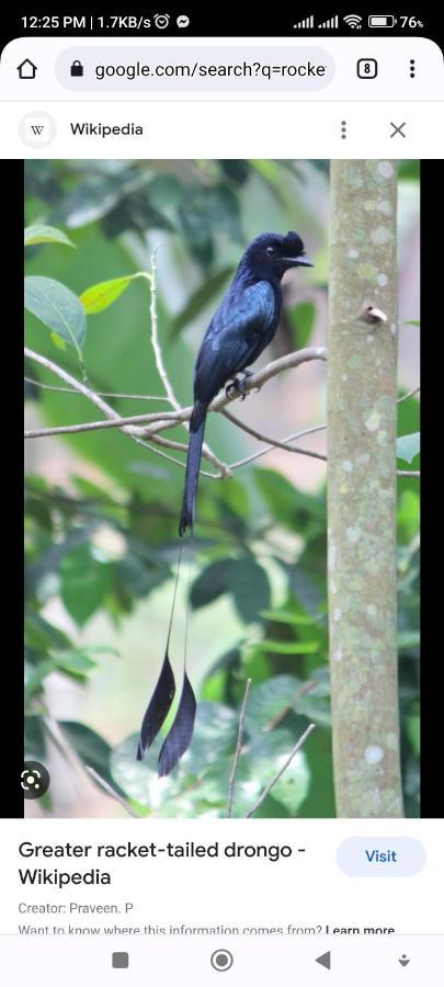 Hotel National Park- A Peaceful Family Home Where You Can Stay Peace And Enjoy And Organize The Wildlife Safari Chitwan Exterior foto