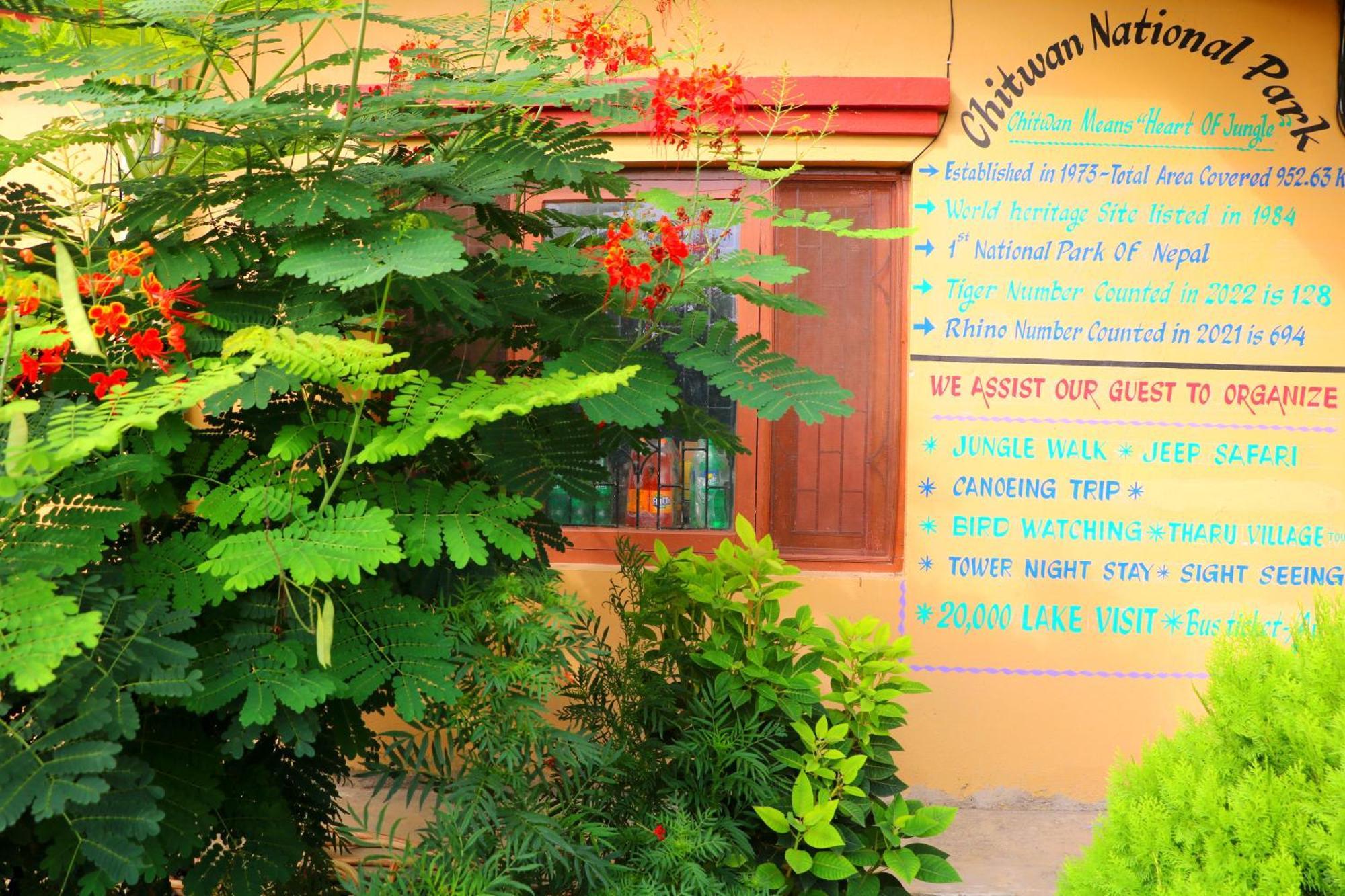 Hotel National Park- A Peaceful Family Home Where You Can Stay Peace And Enjoy And Organize The Wildlife Safari Chitwan Exterior foto